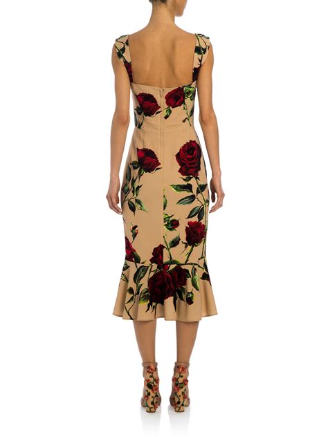 dolce and gabbana midi dress